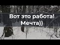 Вот это работа! Мечта))