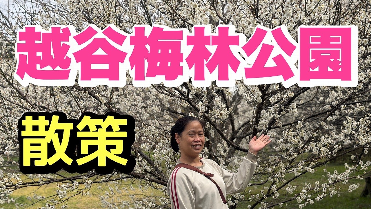 【pinay in Japan】Koshigaya Bairin Park | 梅の花が満開♯越谷梅林公園