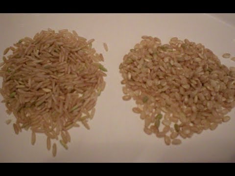 Rice 101-Grain Length and What it Means