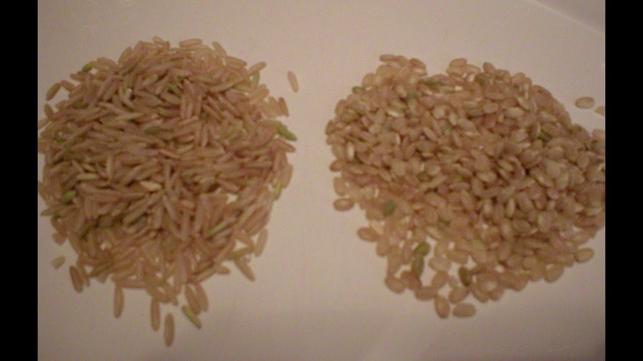 Rice 101-Grain Length And What It Means