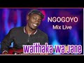 Waithaka Wa Jane Ngogoyo Live Mix Combination 4 Hours Nonstop 