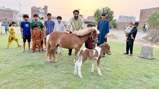 Cassie Or Messi ko Bhr Le Aiy😍Bachy Dekh K Happy Hogae❤️