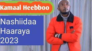 #nashidaa  kamaal heebboo haaraya waae,e qabrii #dhamsa #baalee #baalee #etiopia #oromia #hara 2023