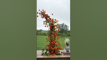 Thumbnail of Marigolds en masse 🍊 We love the ebb and flow of crops. Currently marigolds are flourishing ✨