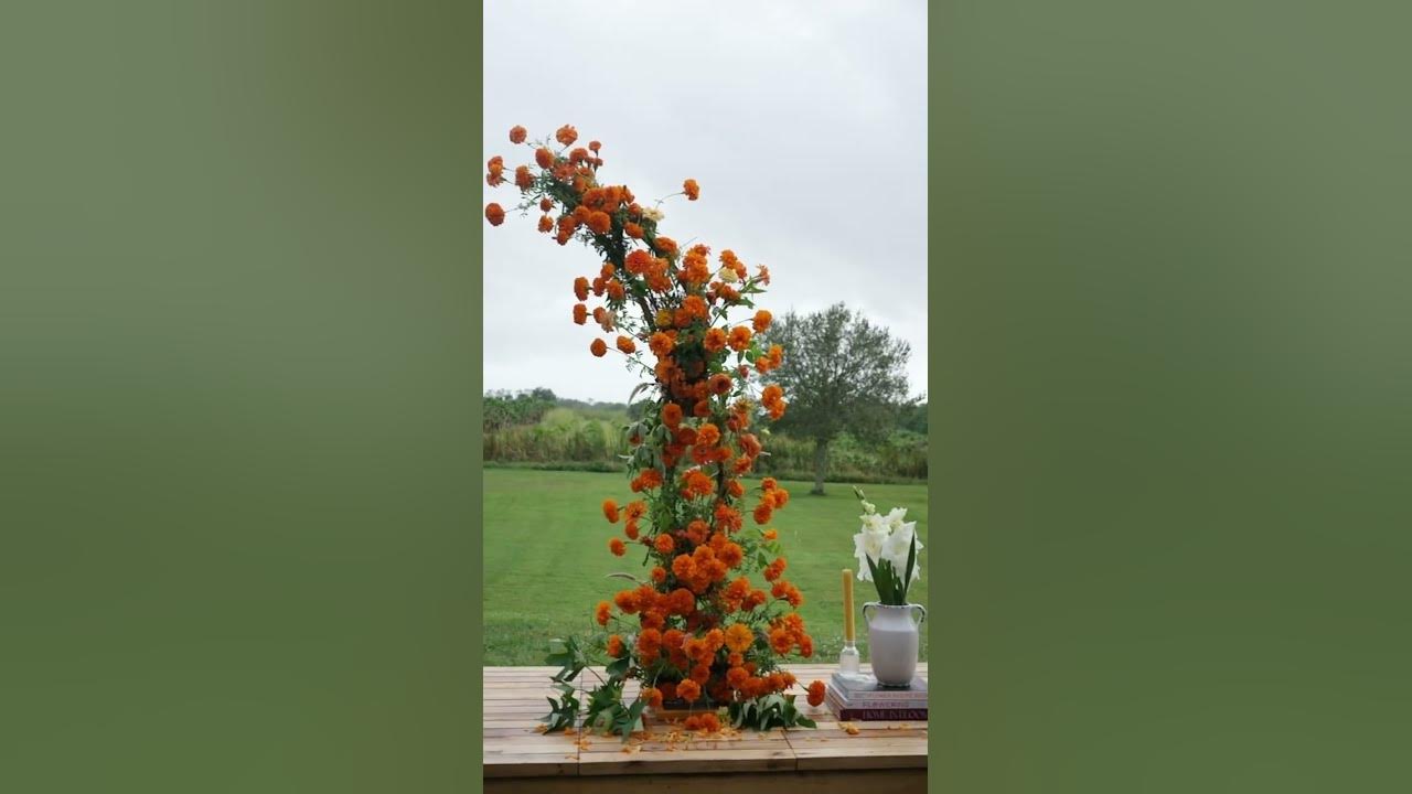 Marigolds en masse 🍊 We love the ebb and flow of crops. Currently marigolds are flourishing ✨