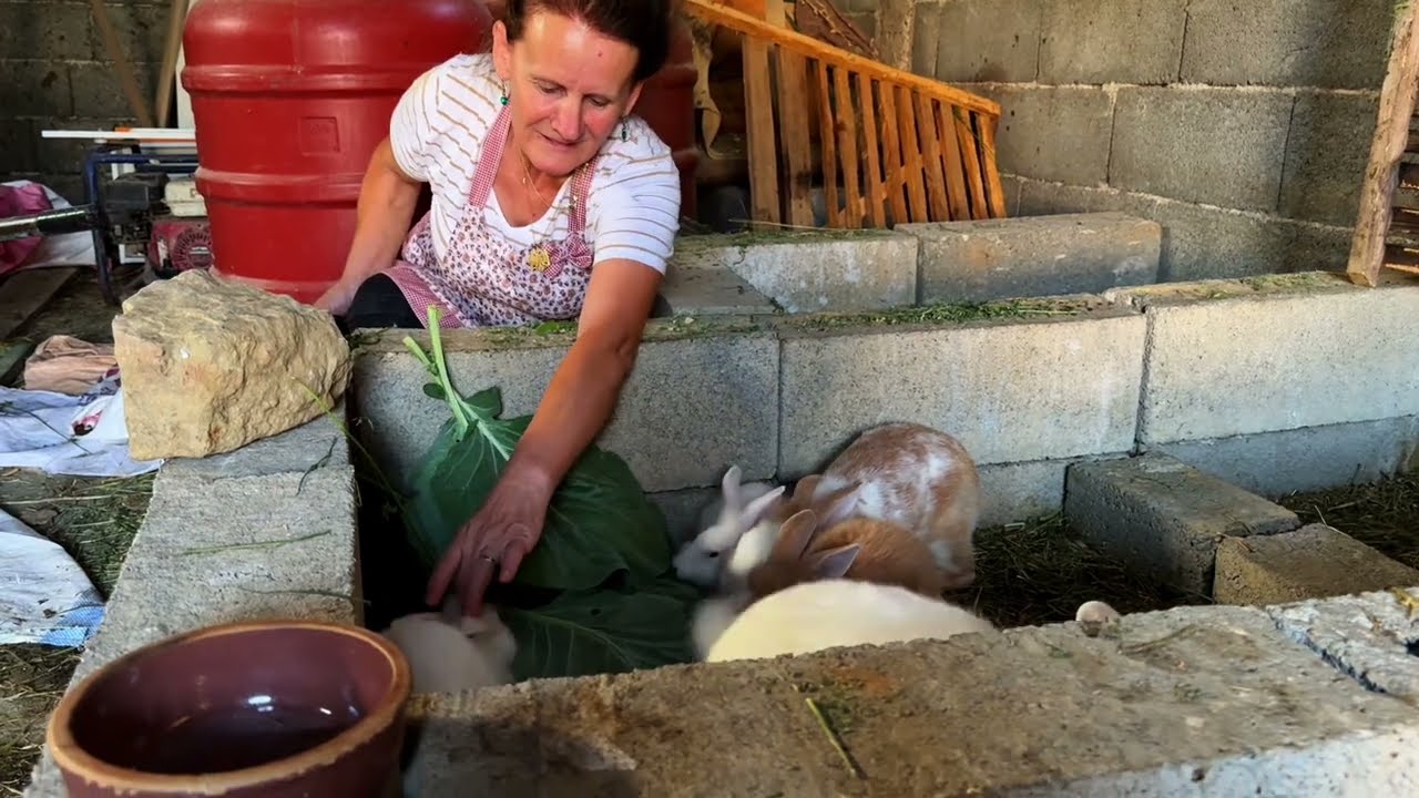 Albanian Village Salad 🥗🇦🇱 & Okra Dish Cooked the Traditional Way 🍲🏡