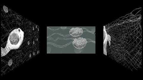 ITALY GREECE RESTART PROJECT Video Animation “Tripych / Heart Attack” by Florentia Ikonomidou Greece