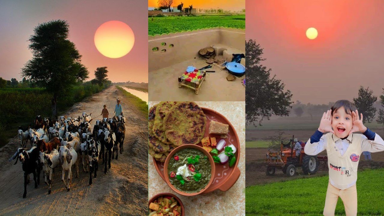 Very Unique  Village Life Pakistan |  Village Food | Old Culture in Punjab 