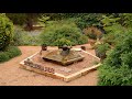 Deer-Proof Butterfly & Bee Garden | Doug Green| Central Texas Gardener