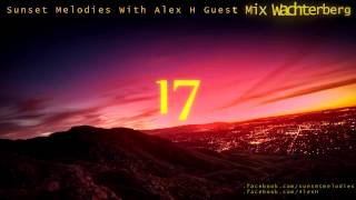 Sunset Melodies With Alex H 017 Guest Mix Wachterberg