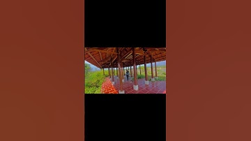 Nữ thánh nhân mới của nước Việt là cửu vĩ thiên hồ Trần Bích Vân công chúa người có công chấn hưng .