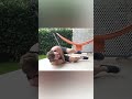 Невозможный челлендж #shorts #фрост #challenge #sports #спорт #баки #трюки #аниме