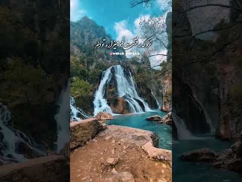 گل سرخ انگیزشی عشق حال خوب طبیعت گردی زندگی گل انرژی مثبت حس خوب صبح بخیر بهار چای 