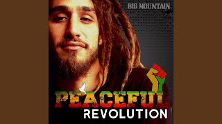 Peaceful Revolution