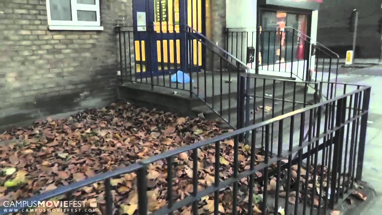 URBAN JELLYFISH: A CAUTIONARY TALE