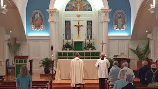 Mass- 15th Week of OT Wednesday (7/15/26)