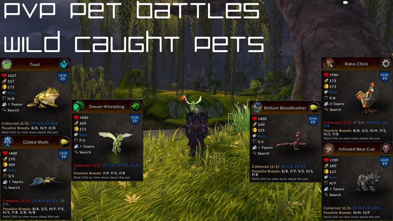 petco hours PVP Pet Battles - Wild Caught Pets #2