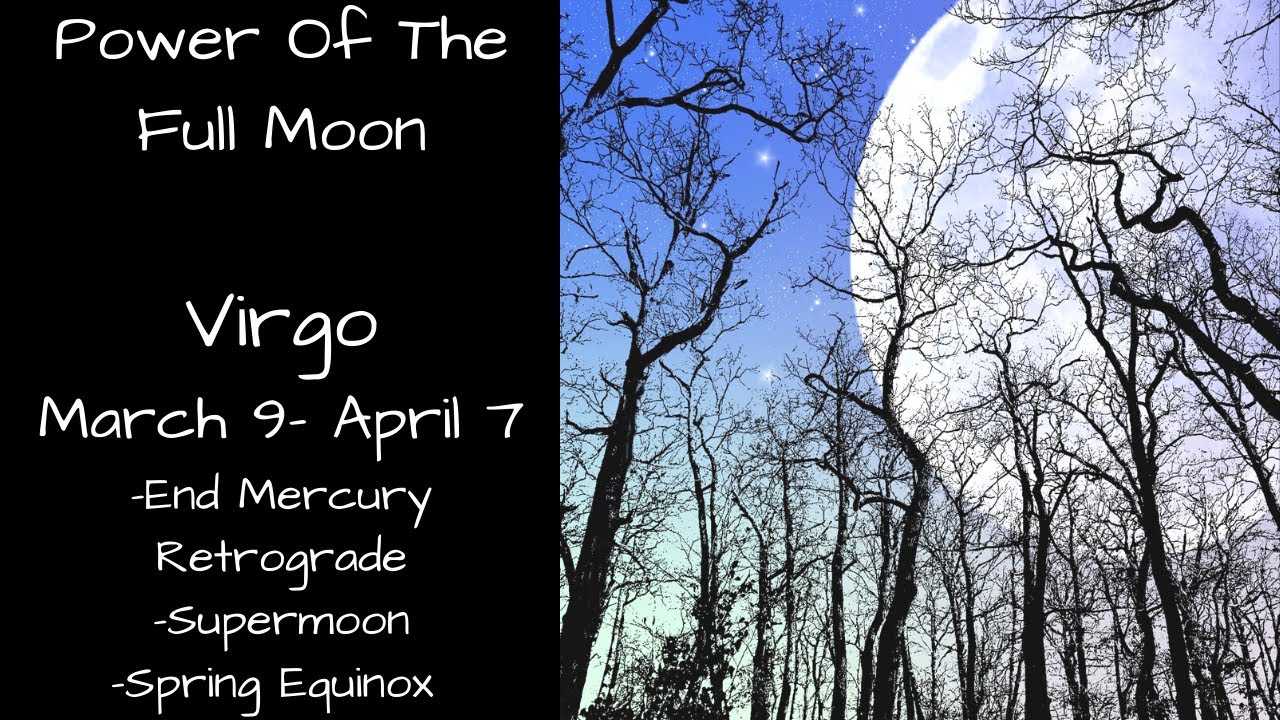 Virgo, This Is What You've Been Waiting For | Psychic Empath Tarot Reading