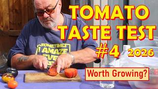 Tomato Taste Test number 4 for 2026, any bad ones?