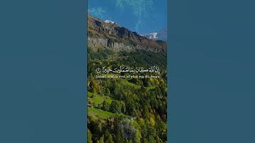 تلاوة هادئة من سورة يونس بصوت القارئ إسلام صبحي | #القرآن_الكريم