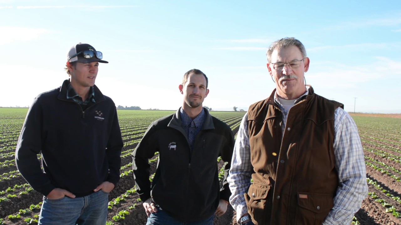 Coastline Family Farms Grower Video Brawley YouTube