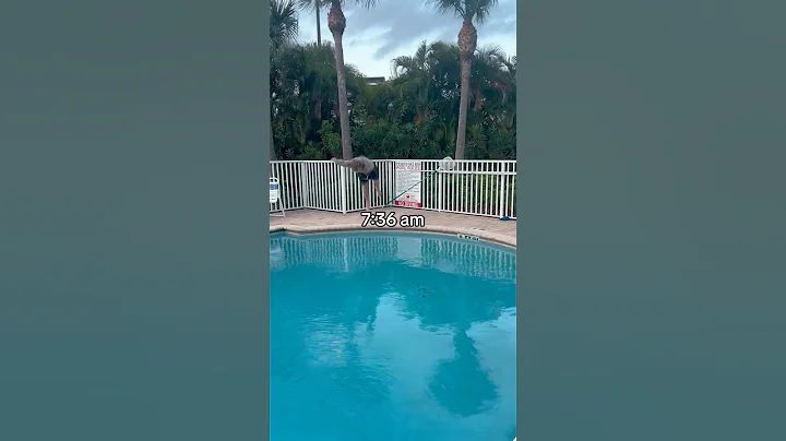 Ashton Hall morning routine ✅ #ashtonhall #meme #memestiktok