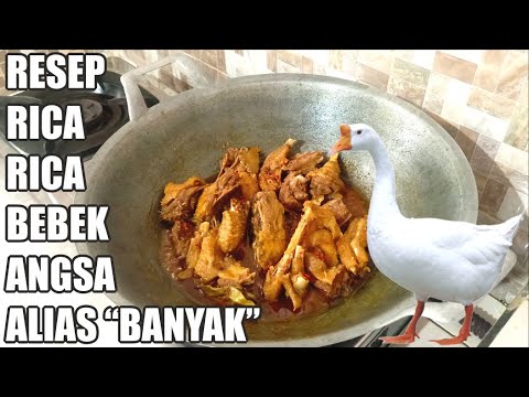 Resep Masak Angsa