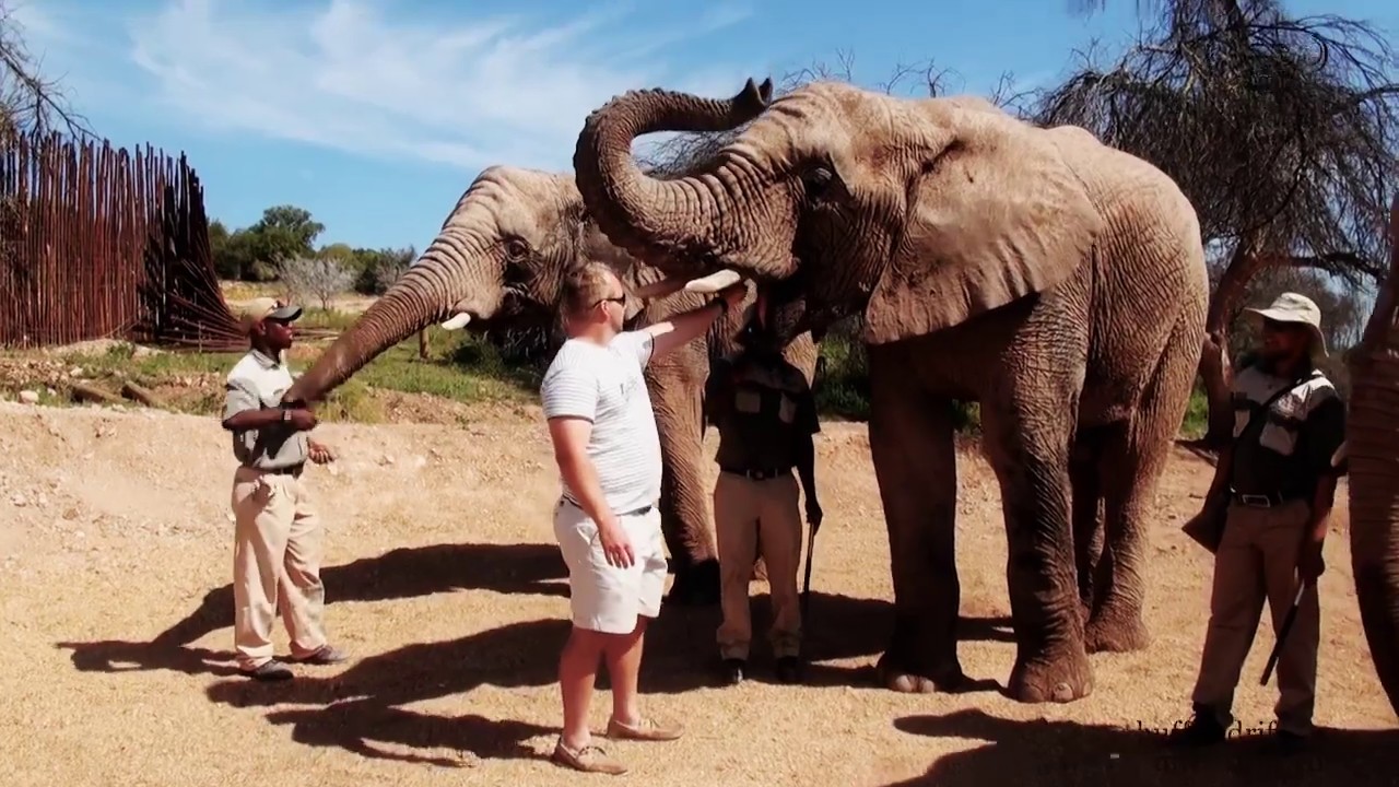 Buffelsdrift Game Lodge - Accommodation in Oudtshoorn