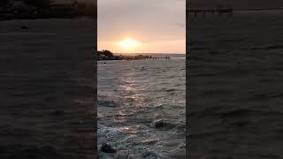 Rajawani #farelprayoga