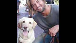 JOSH HOLLOWAY