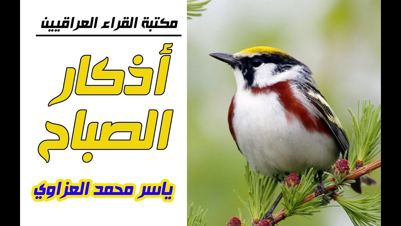 اذكار الصباح كاملة | الصوت الدافئ ياسر محمد العزاوي