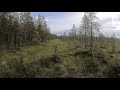 #3 Сплав река Волома-Ондозеро как он есть. Часть 3 (10-11 авг. 2022)