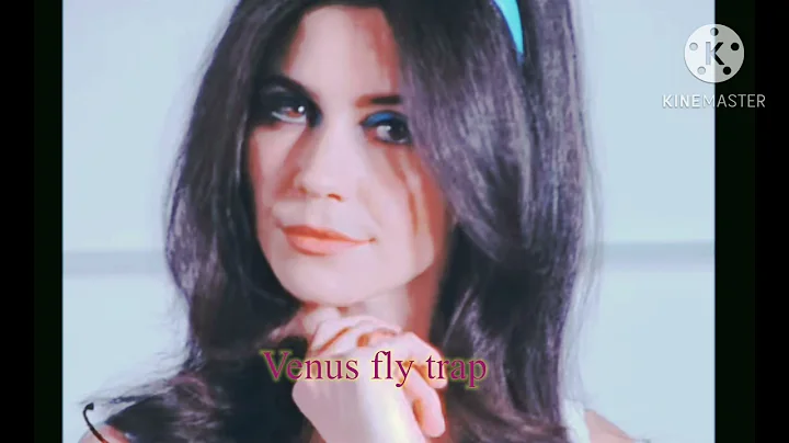 MARINA - Venus Fly Trap ( Sped Up + Reverb)