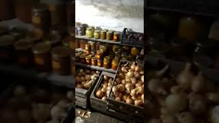 в погріб чи льох? по яблука. #погреб #яблочки #яблука