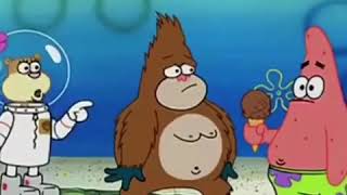 Patrick in a gorilla suit do you know the way