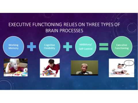 Supporting Executive Functioning