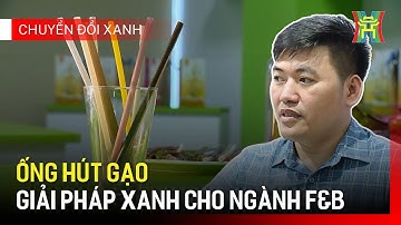 Ống hút gạo, giải pháp xanh cho ngành F&B | Chuyển đổi xanh