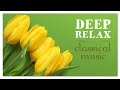 Deep Relax Classical Music