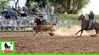 Team Roping - XIT Rodeo & Reunion | Thursday 2025
