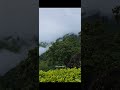Beauty Of Munnar