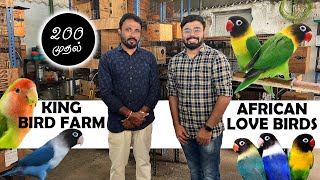 ₹200 ரூபாய் முதல் King Birds Farm | Sales | African Love Birds | Prasanth 360