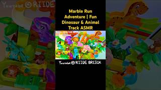 Epic Dino Marble Run | Fun Animal Block Course ASMR