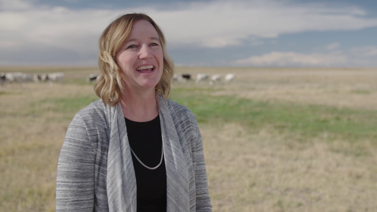 Enterprises, Inc. YouTube