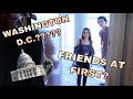 FRIENDS AT FIRST?!- The Ronron Story #2
