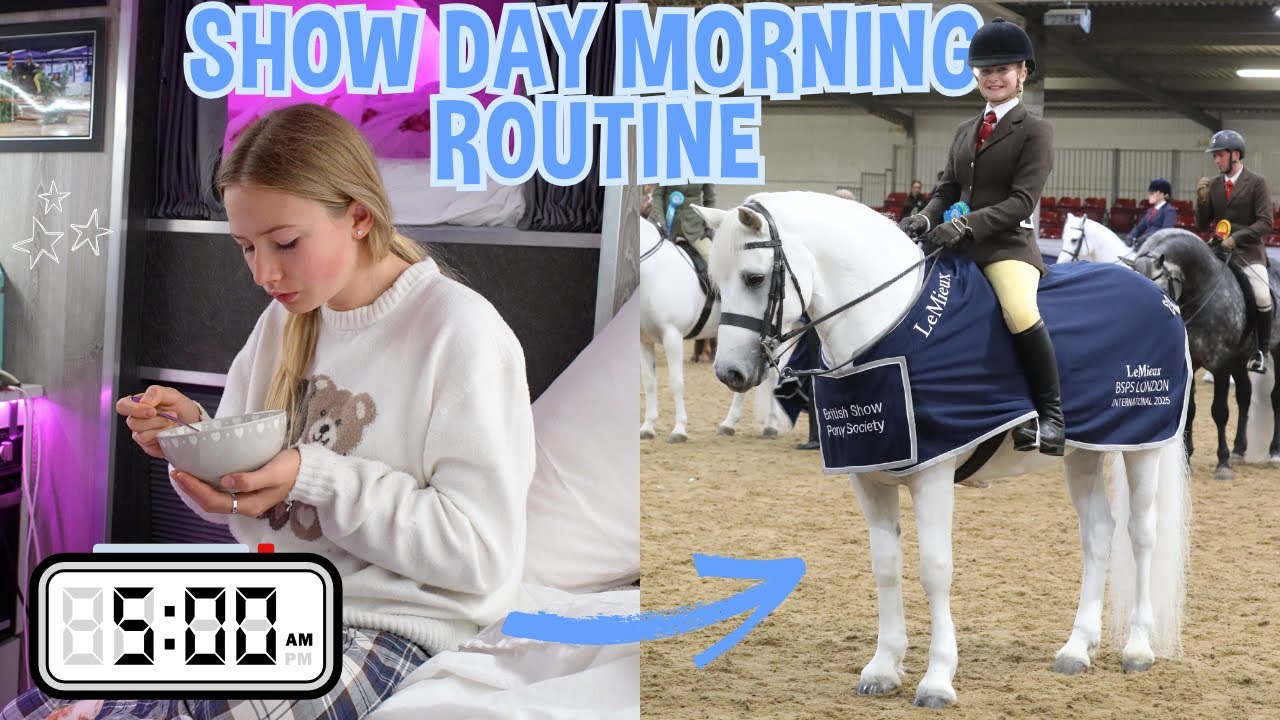 УТРЕННЯЯ ПРОГРАММА ДНЯ ШОУ!