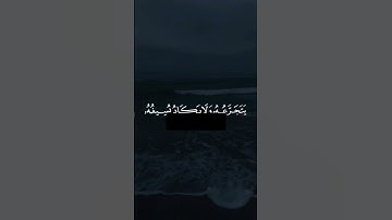 تلاوة رائعة بصوت الشيخ خالد الجليل