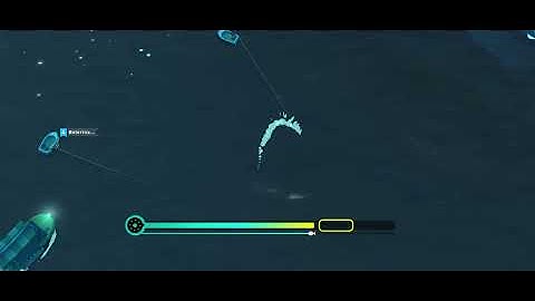 Creatures Of The Deep Paradise Island Catching Shredder. Sometimes your parrot didn