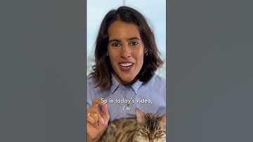 The Secret To Stopping Harness Escapes #shorts