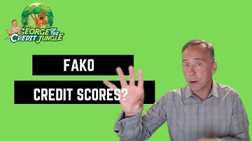 Fako Credit Scores?