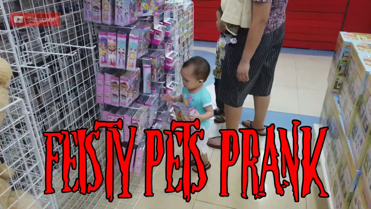 Feisty Pets Prank ( Sabahan Edition) Malaysia